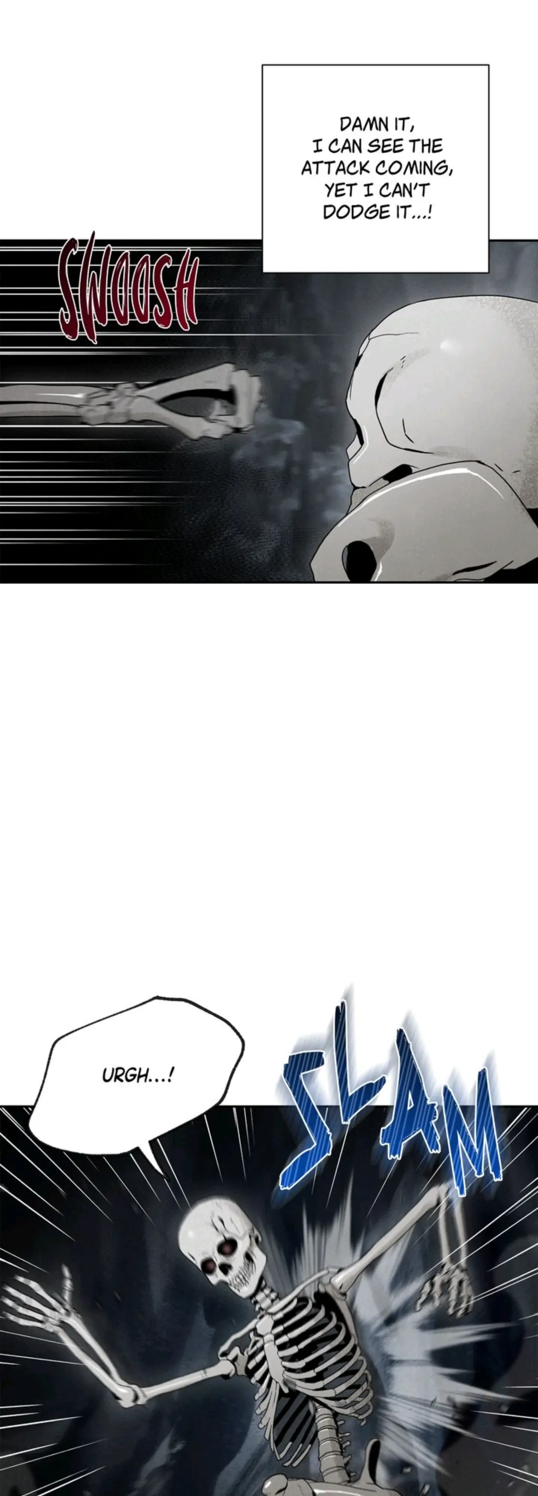 5154840 1080 3000 120388